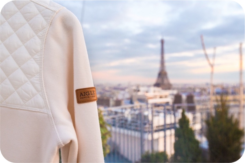 Bulle Aigle sur les toits de Paris